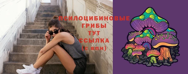 герыч Аркадак