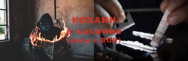 спайс Арсеньев