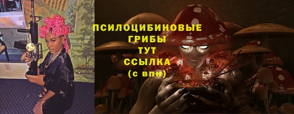 спайс Арсеньев